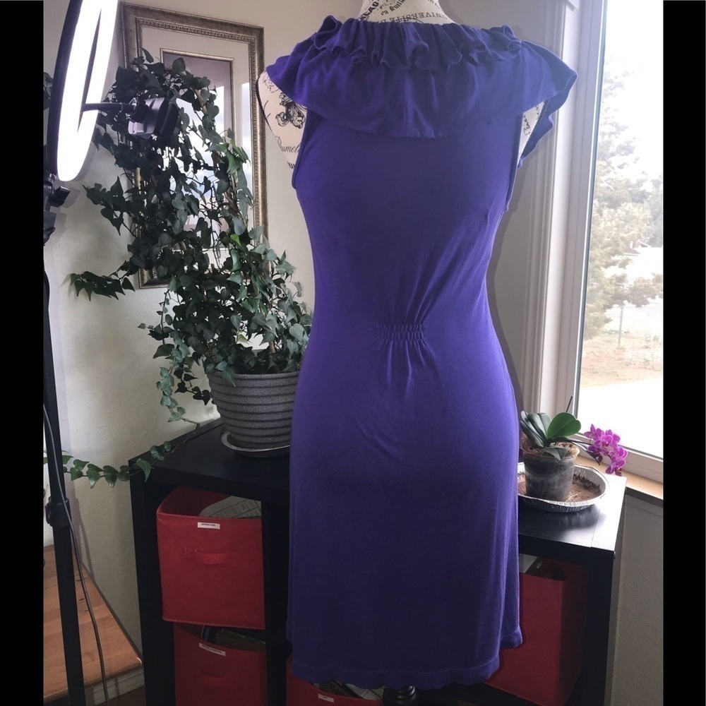 🌻 BCBG Maxazria Periwinkle Dress - Picture 3 of 9